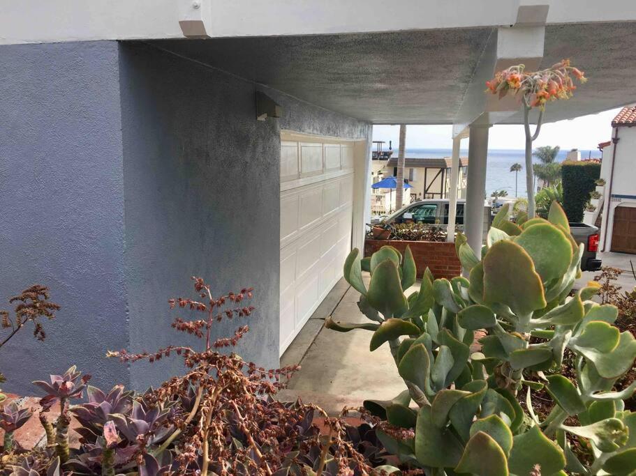 Blue Whale Inn San Clemente Jewel Unit D Extérieur photo